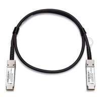 Cable Zyxel DAC10G-1M-ZZ0103F1